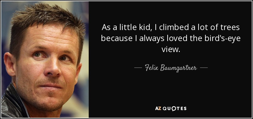 As a little kid, I climbed a lot of trees because I always loved the bird's-eye view. - Felix Baumgartner