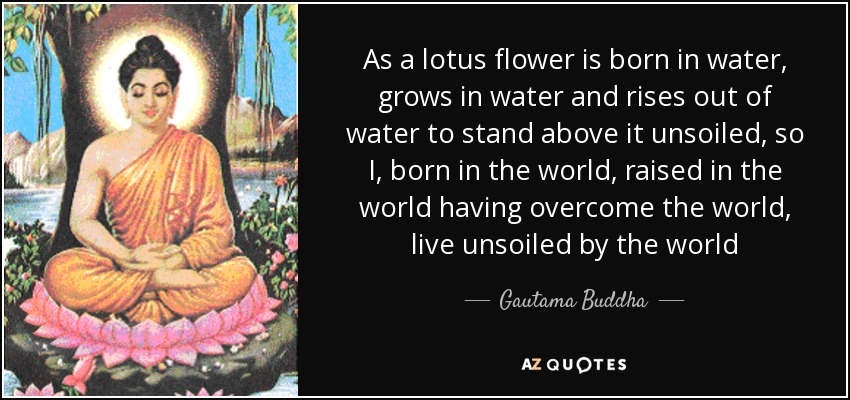 As a lotus flower is born in water, grows in water and rises out of water to stand above it unsoiled, so I, born in the world, raised in the world having overcome the world, live unsoiled by the world - Gautama Buddha