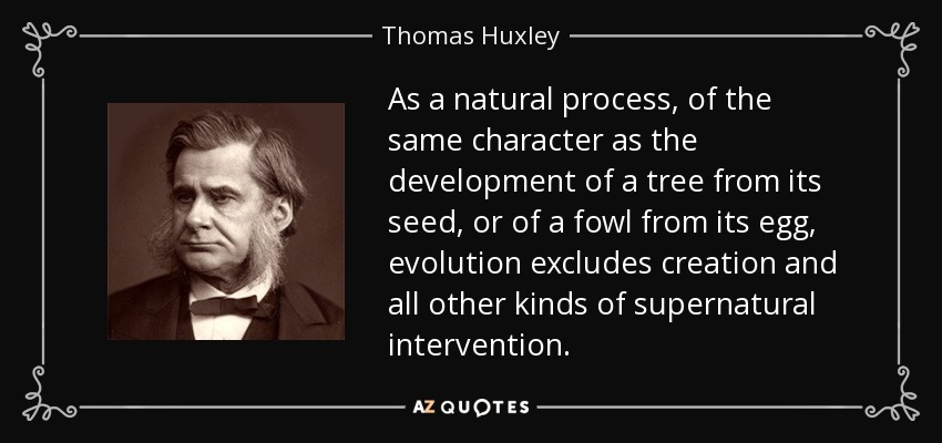 As a natural process, of the same character as the development of a tree from its seed, or of a fowl from its egg, evolution excludes creation and all other kinds of supernatural intervention. - Thomas Huxley