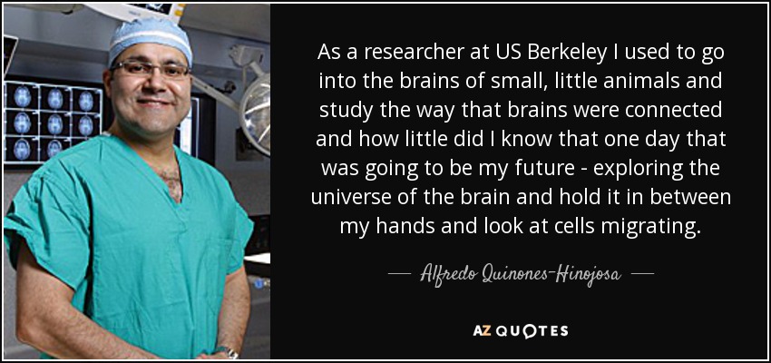 As a researcher at US Berkeley I used to go into the brains of small, little animals and study the way that brains were connected and how little did I know that one day that was going to be my future - exploring the universe of the brain and hold it in between my hands and look at cells migrating. - Alfredo Quinones-Hinojosa