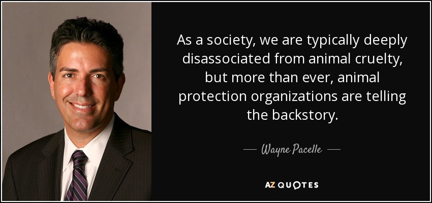 As a society, we are typically deeply disassociated from animal cruelty, but more than ever, animal protection organizations are telling the backstory. - Wayne Pacelle