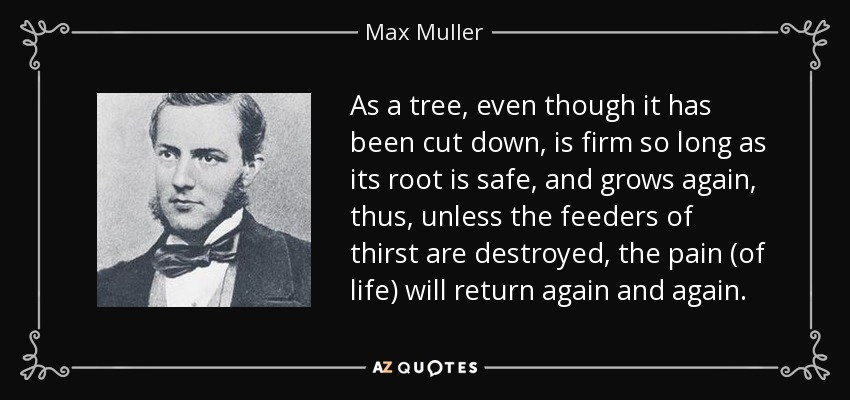 As a tree, even though it has been cut down, is firm so long as its root is safe, and grows again, thus, unless the feeders of thirst are destroyed, the pain (of life) will return again and again. - Max Muller