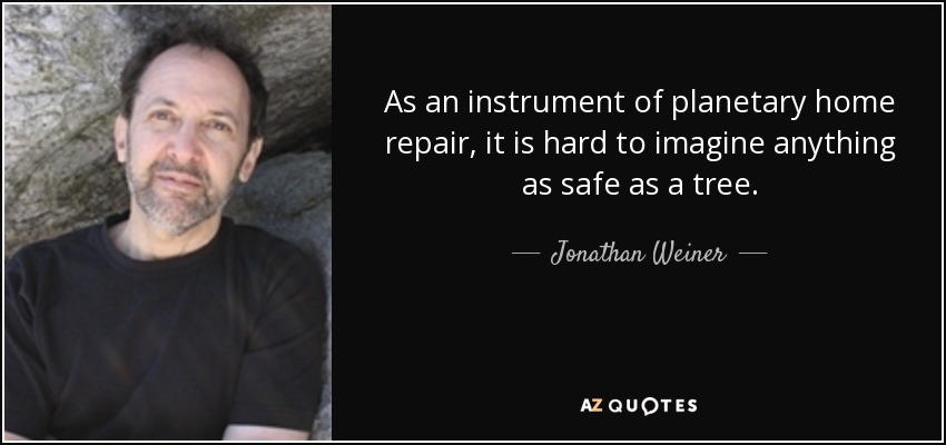 As an instrument of planetary home repair, it is hard to imagine anything as safe as a tree. - Jonathan Weiner