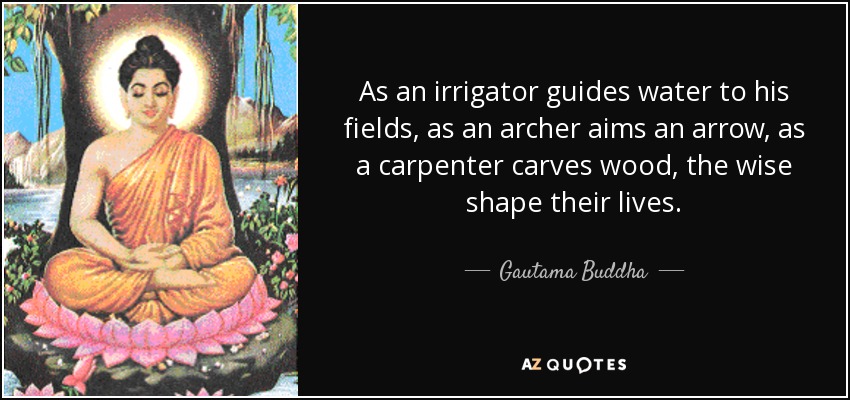 As an irrigator guides water to his fields, as an archer aims an arrow, as a carpenter carves wood, the wise shape their lives. - Gautama Buddha