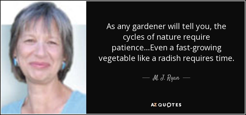 As any gardener will tell you, the cycles of nature require patience...Even a fast-growing vegetable like a radish requires time. - M. J. Ryan