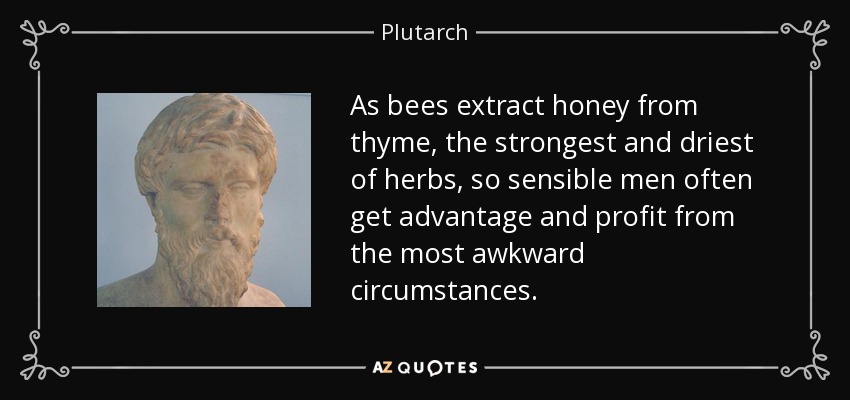 As bees extract honey from thyme, the strongest and driest of herbs, so sensible men often get advantage and profit from the most awkward circumstances. - Plutarch