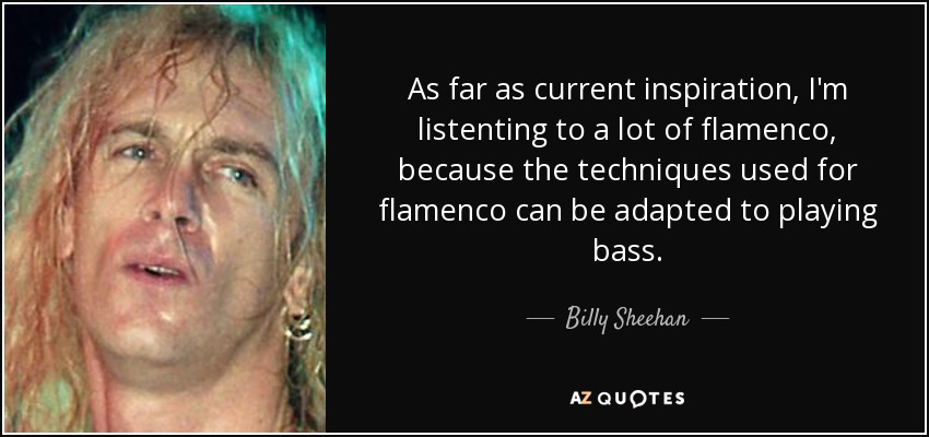 As far as current inspiration, I'm listenting to a lot of flamenco, because the techniques used for flamenco can be adapted to playing bass. - Billy Sheehan