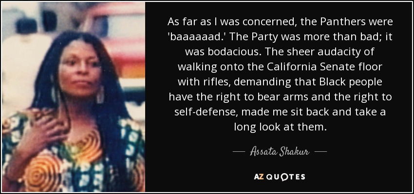 As far as I was concerned, the Panthers were 'baaaaaad.' The Party was more than bad; it was bodacious. The sheer audacity of walking onto the California Senate floor with rifles, demanding that Black people have the right to bear arms and the right to self-defense, made me sit back and take a long look at them. - Assata Shakur