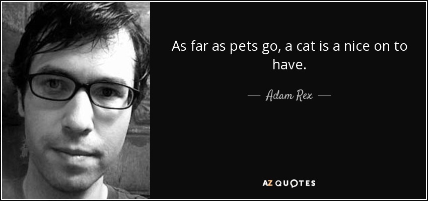 As far as pets go, a cat is a nice on to have. - Adam Rex