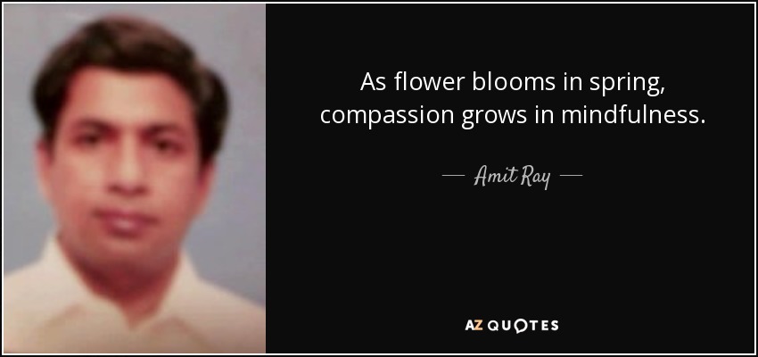 As flower blooms in spring, compassion grows in mindfulness. - Amit Ray