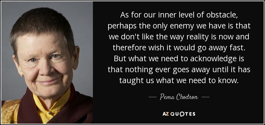 As for our inner level of obstacle, perhaps the only enemy we have is that we don't like the way reality is now and therefore wish it would go away fast. But what we need to acknowledge is that nothing ever goes away until it has taught us what we need to know. - Pema Chodron