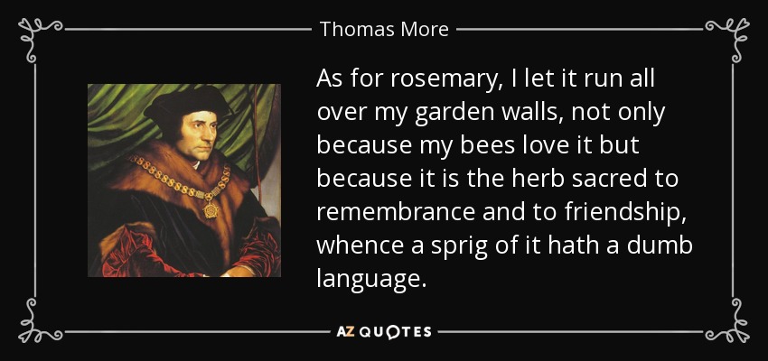 As for rosemary, I let it run all over my garden walls, not only because my bees love it but because it is the herb sacred to remembrance and to friendship, whence a sprig of it hath a dumb language. - Thomas More