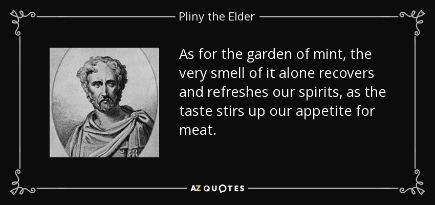 As for the garden of mint, the very smell of it alone recovers and refreshes our spirits, as the taste stirs up our appetite for meat. - Pliny the Elder