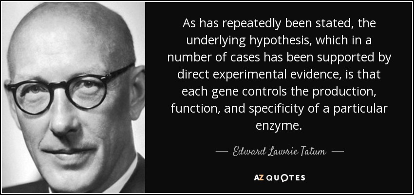 As has repeatedly been stated, the underlying hypothesis, which in a number of cases has been supported by direct experimental evidence, is that each gene controls the production, function, and specificity of a particular enzyme. - Edward Lawrie Tatum