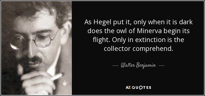 As Hegel put it, only when it is dark does the owl of Minerva begin its flight. Only in extinction is the collector comprehend. - Walter Benjamin
