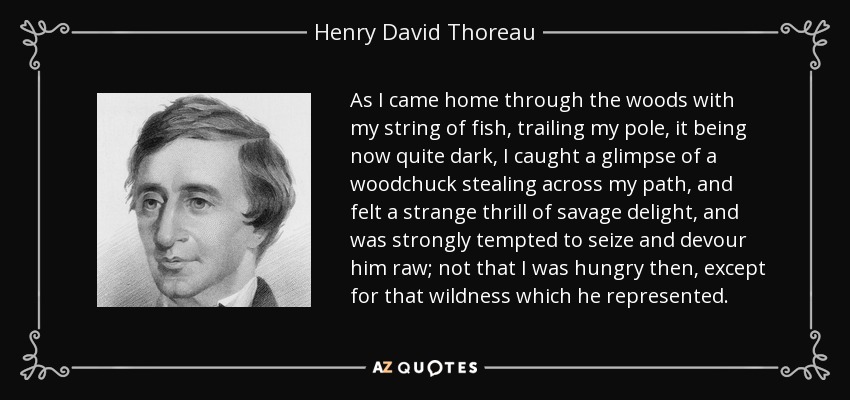 As I came home through the woods with my string of fish, trailing my pole, it being now quite dark, I caught a glimpse of a woodchuck stealing across my path, and felt a strange thrill of savage delight, and was strongly tempted to seize and devour him raw; not that I was hungry then, except for that wildness which he represented. - Henry David Thoreau