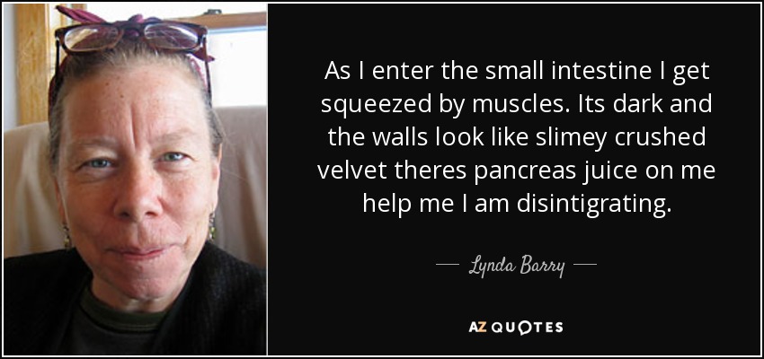 As I enter the small intestine I get squeezed by muscles. Its dark and the walls look like slimey crushed velvet theres pancreas juice on me help me I am disintigrating. - Lynda Barry