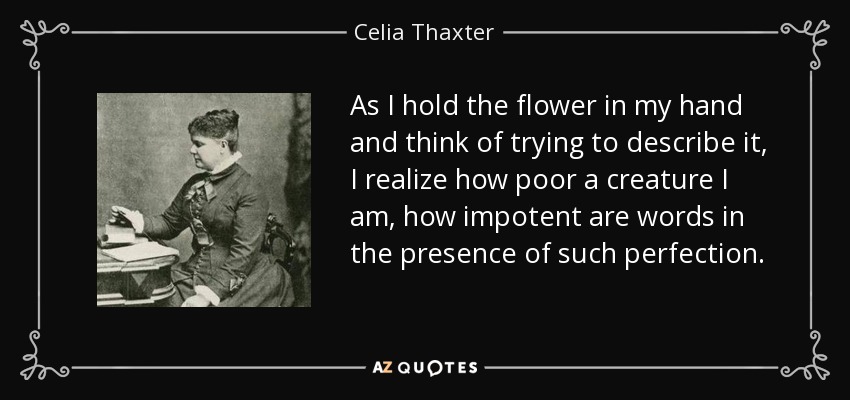 As I hold the flower in my hand and think of trying to describe it, I realize how poor a creature I am, how impotent are words in the presence of such perfection. - Celia Thaxter