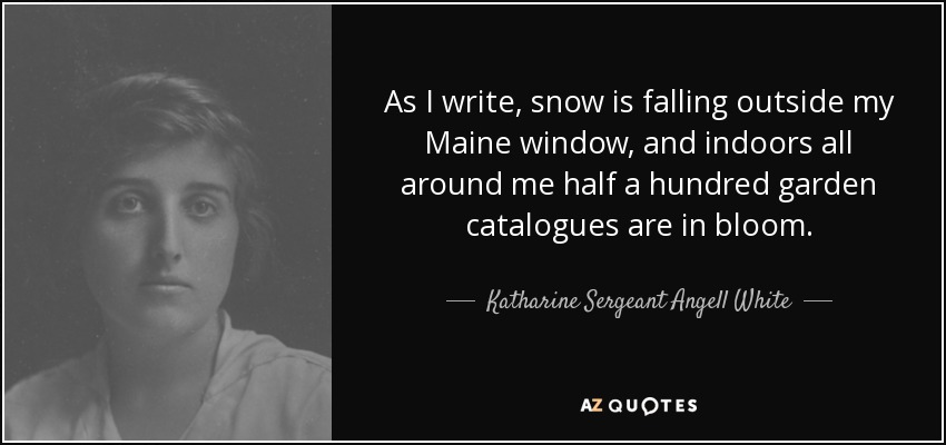 As I write, snow is falling outside my Maine window, and indoors all around me half a hundred garden catalogues are in bloom. - Katharine Sergeant Angell White
