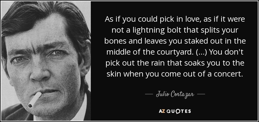As if you could pick in love, as if it were not a lightning bolt that splits your bones and leaves you staked out in the middle of the courtyard. (...) You don't pick out the rain that soaks you to the skin when you come out of a concert. - Julio Cortazar