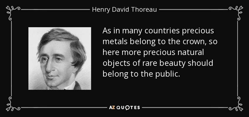 As in many countries precious metals belong to the crown, so here more precious natural objects of rare beauty should belong to the public. - Henry David Thoreau