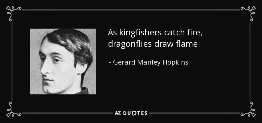 As kingfishers catch fire, dragonflies draw flame - Gerard Manley Hopkins