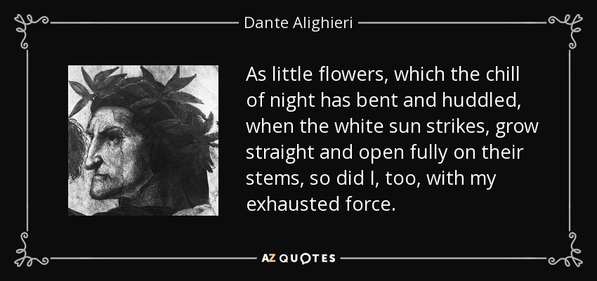 As little flowers, which the chill of night has bent and huddled, when the white sun strikes, grow straight and open fully on their stems, so did I, too, with my exhausted force. - Dante Alighieri