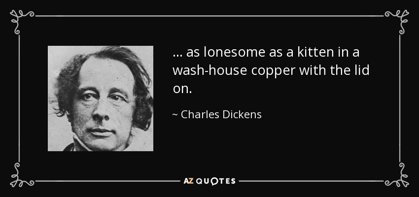 ... as lonesome as a kitten in a wash-house copper with the lid on. - Charles Dickens
