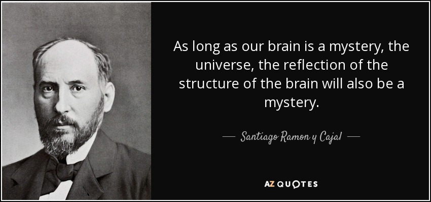 As long as our brain is a mystery, the universe, the reflection of the structure of the brain will also be a mystery. - Santiago Ramon y Cajal