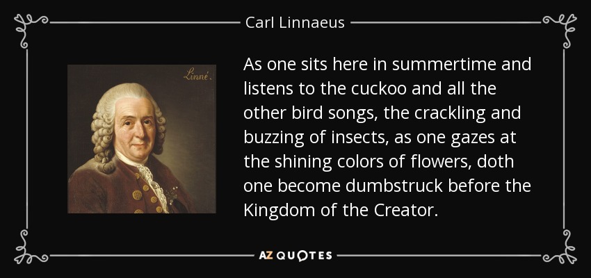 As one sits here in summertime and listens to the cuckoo and all the other bird songs, the crackling and buzzing of insects, as one gazes at the shining colors of flowers, doth one become dumbstruck before the Kingdom of the Creator. - Carl Linnaeus