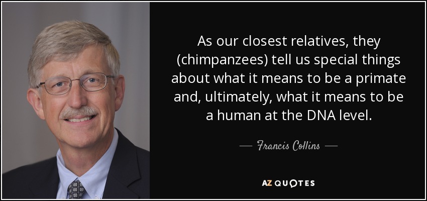 As our closest relatives, they (chimpanzees) tell us special things about what it means to be a primate and, ultimately, what it means to be a human at the DNA level. - Francis Collins