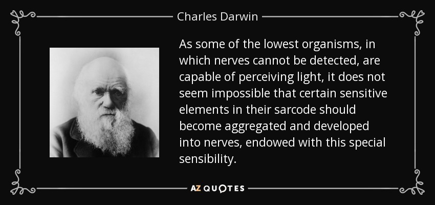 As some of the lowest organisms, in which nerves cannot be detected, are capable of perceiving light, it does not seem impossible that certain sensitive elements in their sarcode should become aggregated and developed into nerves, endowed with this special sensibility. - Charles Darwin