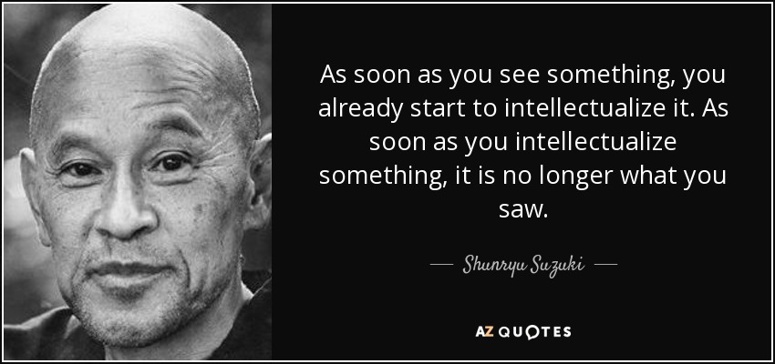 As soon as you see something, you already start to intellectualize it. As soon as you intellectualize something, it is no longer what you saw. - Shunryu Suzuki
