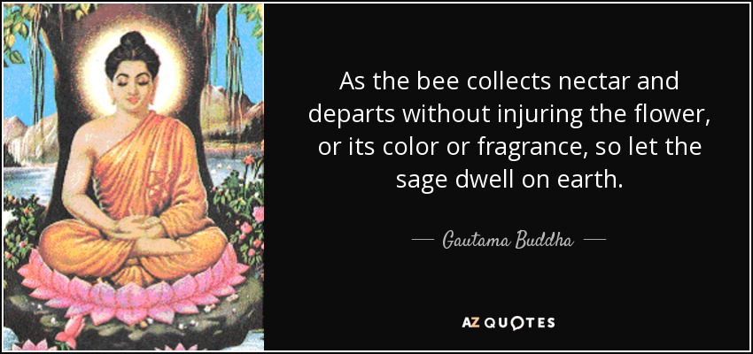 As the bee collects nectar and departs without injuring the flower, or its color or fragrance, so let the sage dwell on earth. - Gautama Buddha