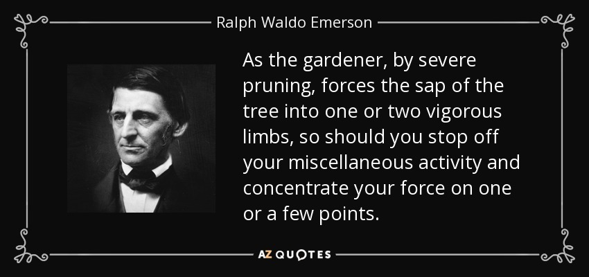 As the gardener, by severe pruning, forces the sap of the tree into one or two vigorous limbs, so should you stop off your miscellaneous activity and concentrate your force on one or a few points. - Ralph Waldo Emerson