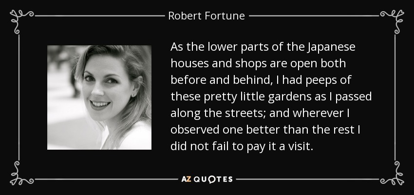 As the lower parts of the Japanese houses and shops are open both before and behind, I had peeps of these pretty little gardens as I passed along the streets; and wherever I observed one better than the rest I did not fail to pay it a visit. - Robert Fortune