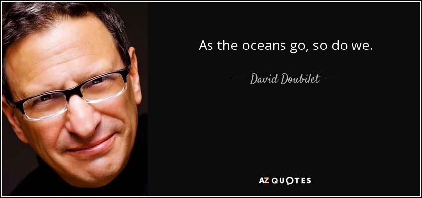 As the oceans go, so do we. - David Doubilet