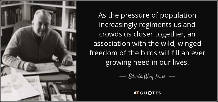 As the pressure of population increasingly regiments us and crowds us closer together, an association with the wild, winged freedom of the birds will fill an ever growing need in our lives. - Edwin Way Teale
