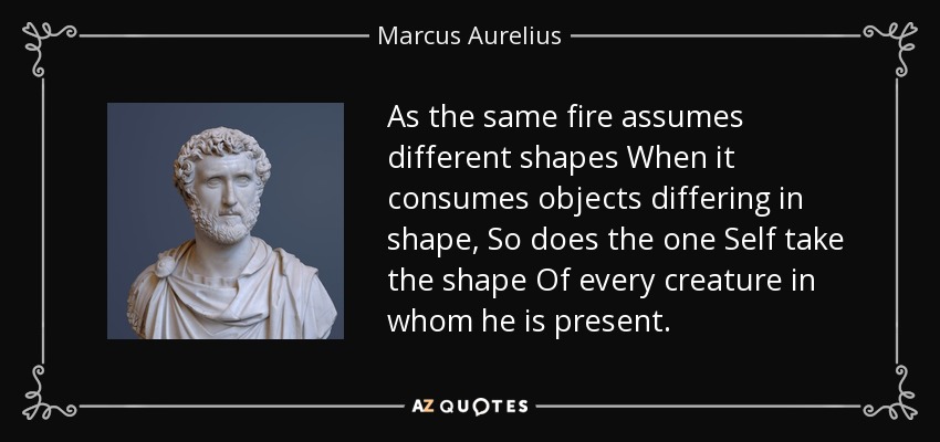 As the same fire assumes different shapes When it consumes objects differing in shape, So does the one Self take the shape Of every creature in whom he is present. - Marcus Aurelius