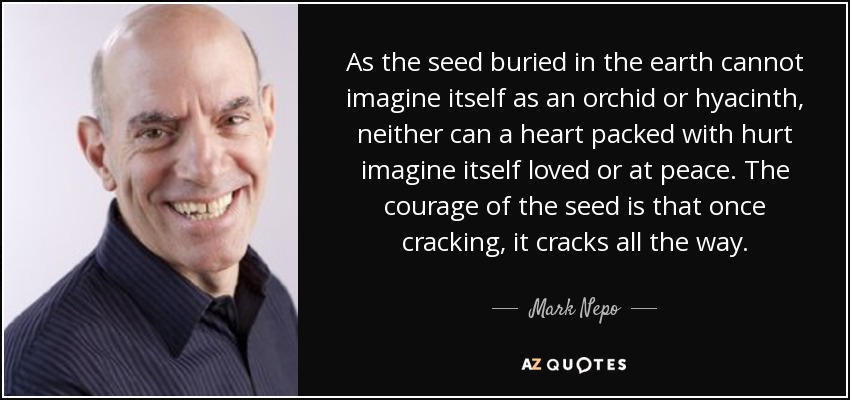 As the seed buried in the earth cannot imagine itself as an orchid or hyacinth, neither can a heart packed with hurt imagine itself loved or at peace. The courage of the seed is that once cracking, it cracks all the way. - Mark Nepo