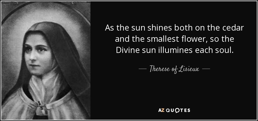 As the sun shines both on the cedar and the smallest flower, so the Divine sun illumines each soul. - Therese of Lisieux