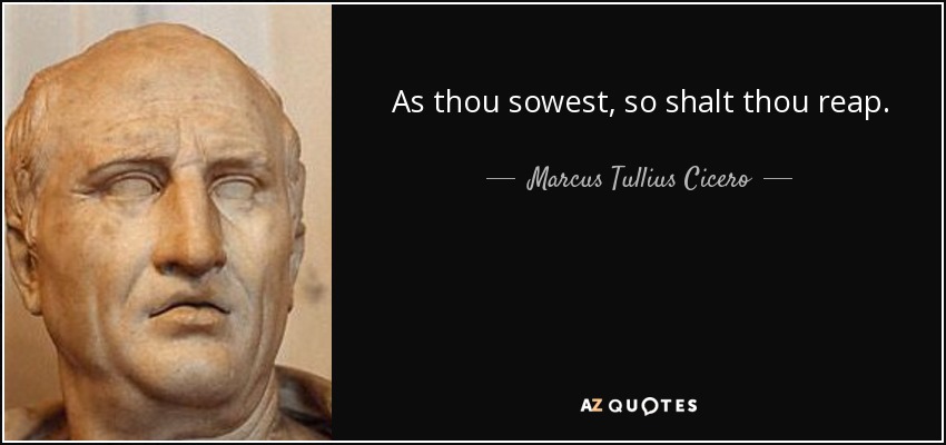 As thou sowest, so shalt thou reap. - Marcus Tullius Cicero