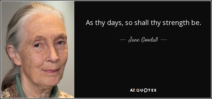 As thy days, so shall thy strength be. - Jane Goodall