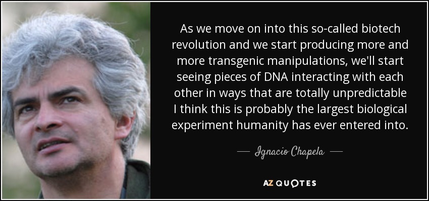 As we move on into this so-called biotech revolution and we start producing more and more transgenic manipulations, we'll start seeing pieces of DNA interacting with each other in ways that are totally unpredictable I think this is probably the largest biological experiment humanity has ever entered into. - Ignacio Chapela