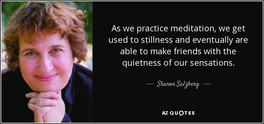 As we practice meditation, we get used to stillness and eventually are able to make friends with the quietness of our sensations. - Sharon Salzberg