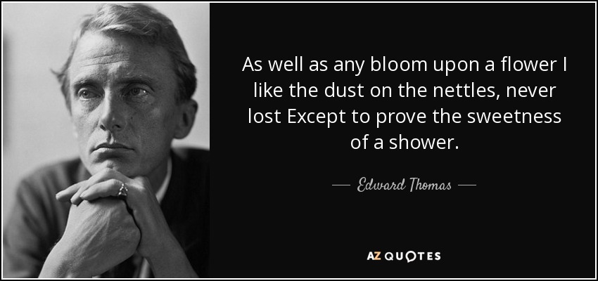 As well as any bloom upon a flower I like the dust on the nettles, never lost Except to prove the sweetness of a shower. - Edward Thomas