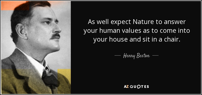 As well expect Nature to answer your human values as to come into your house and sit in a chair. - Henry Beston