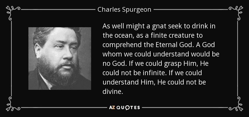 As well might a gnat seek to drink in the ocean, as a finite creature to comprehend the Eternal God. A God whom we could understand would be no God. If we could grasp Him, He could not be infinite. If we could understand Him, He could not be divine. - Charles Spurgeon