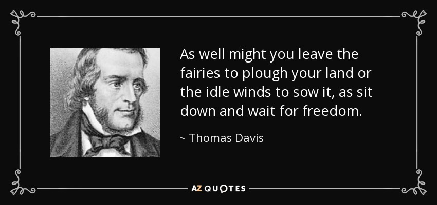 As well might you leave the fairies to plough your land or the idle winds to sow it, as sit down and wait for freedom. - Thomas Davis