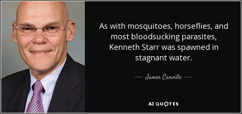 As with mosquitoes, horseflies, and most bloodsucking parasites, Kenneth Starr was spawned in stagnant water. - James Carville